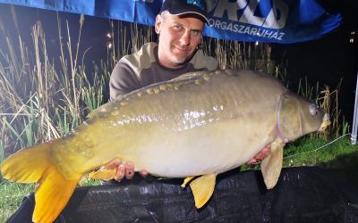 A vírus árnyékában az Arizóna Carp Lake tavon