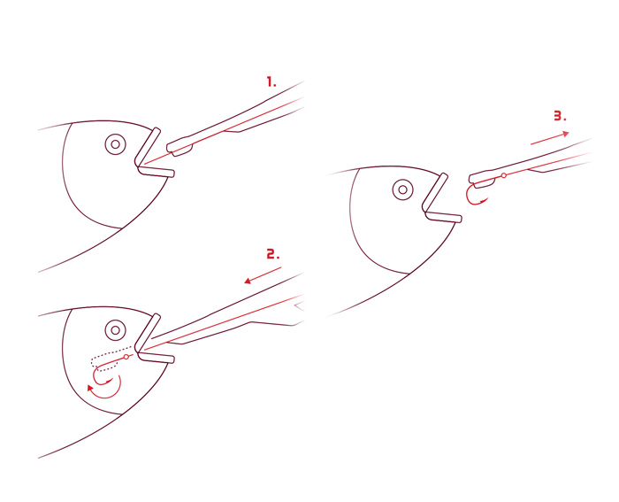 Delphin - HOOKY horogkiszabadító - Image 5