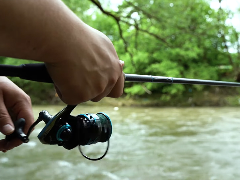 Delphin - IXCELA 2T AL BODY - Image 5