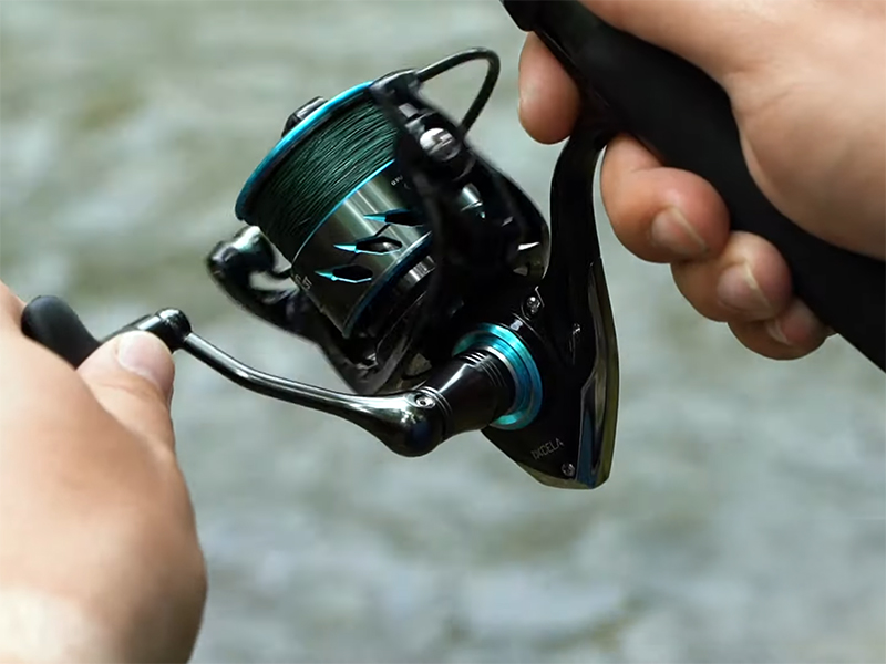 Delphin - IXCELA 2T AL BODY - Image 6