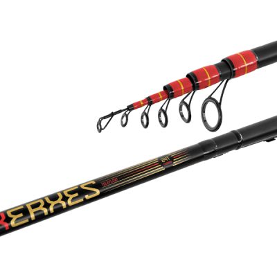 Delphin - XERXES TeleFLOAT