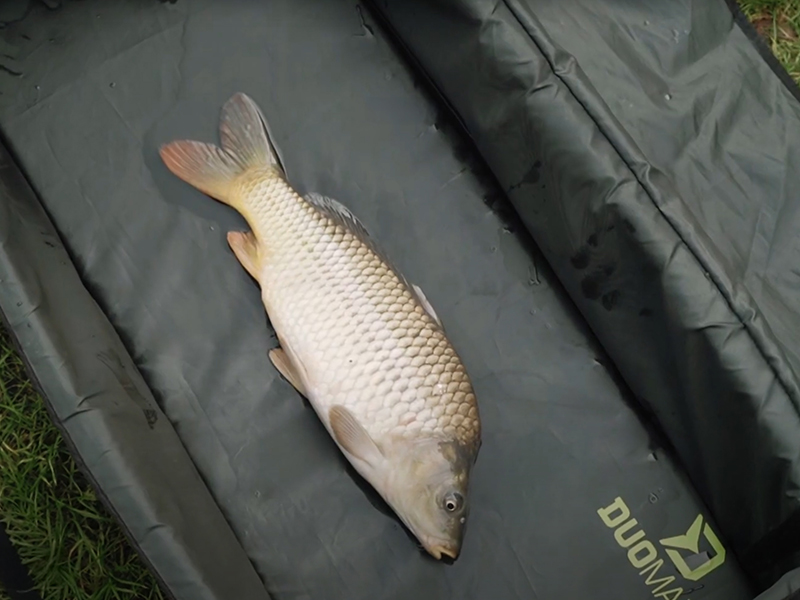 Delphin - Pontymatrac és peremmel DuoMAT XXL - Image 10