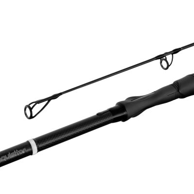 Delphin - INQVISITOR