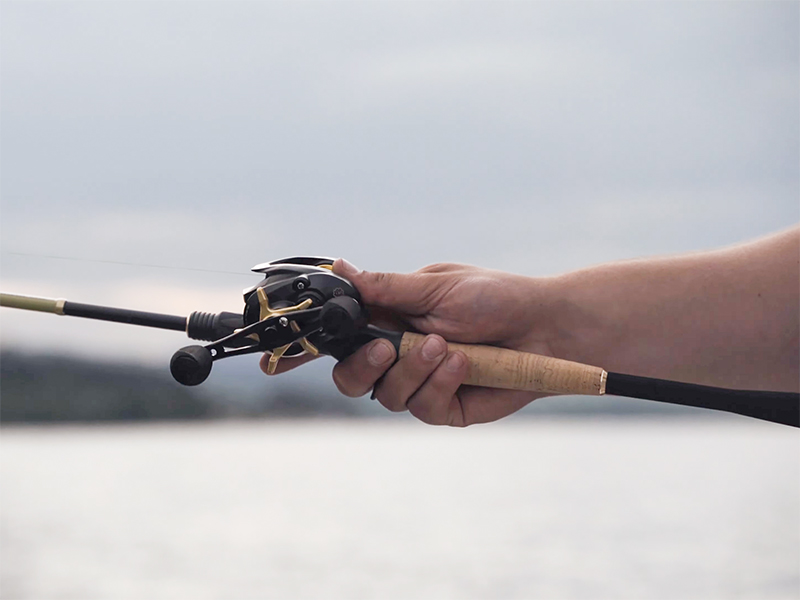 Delphin - ZANDERA - Image 6