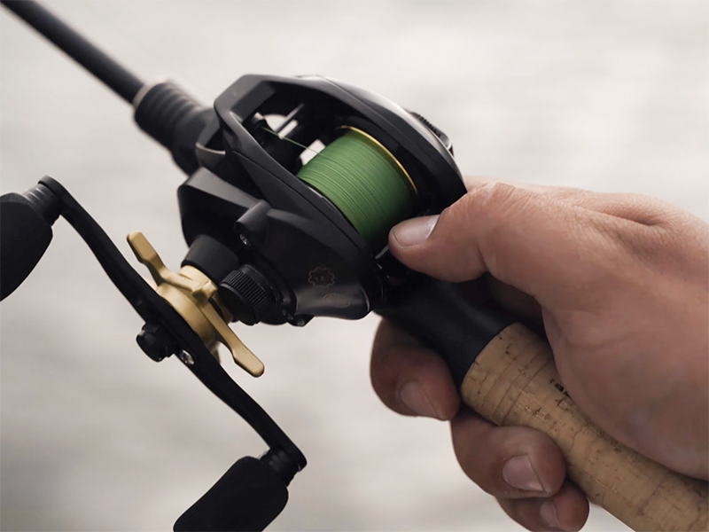 Delphin - ZANDERA - Image 7