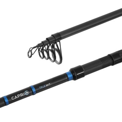 Delphin - CAPRI Tele NXT