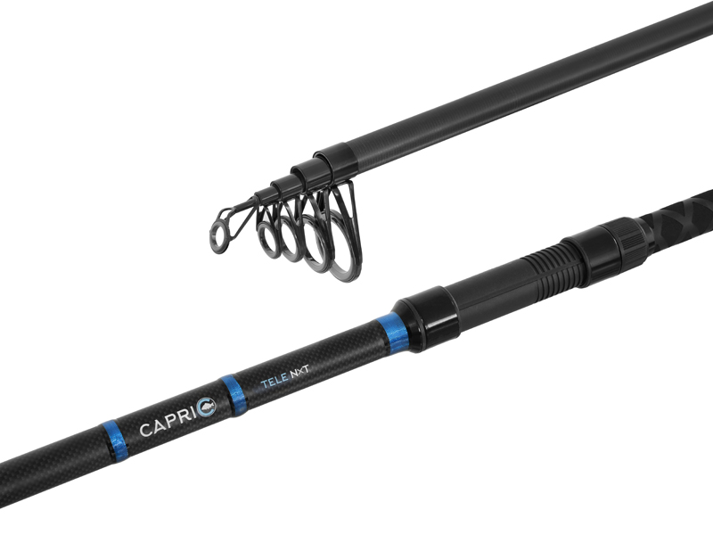 Delphin - CAPRI Tele NXT