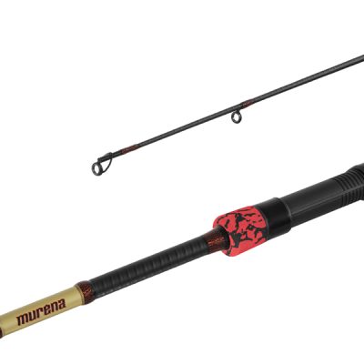 Delphin - MURENA POWER