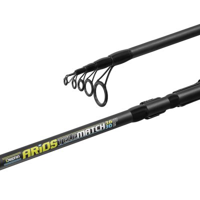 Delphin - ARIOS TeleMATCH