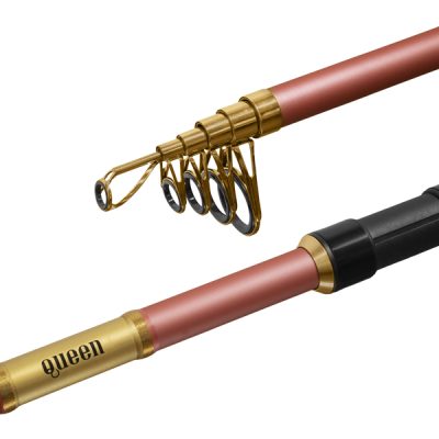 Delphin - QUEEN Tele