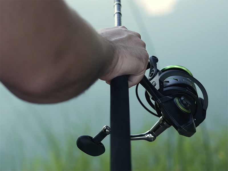 Delphin - WRINX 5T DP - Image 4