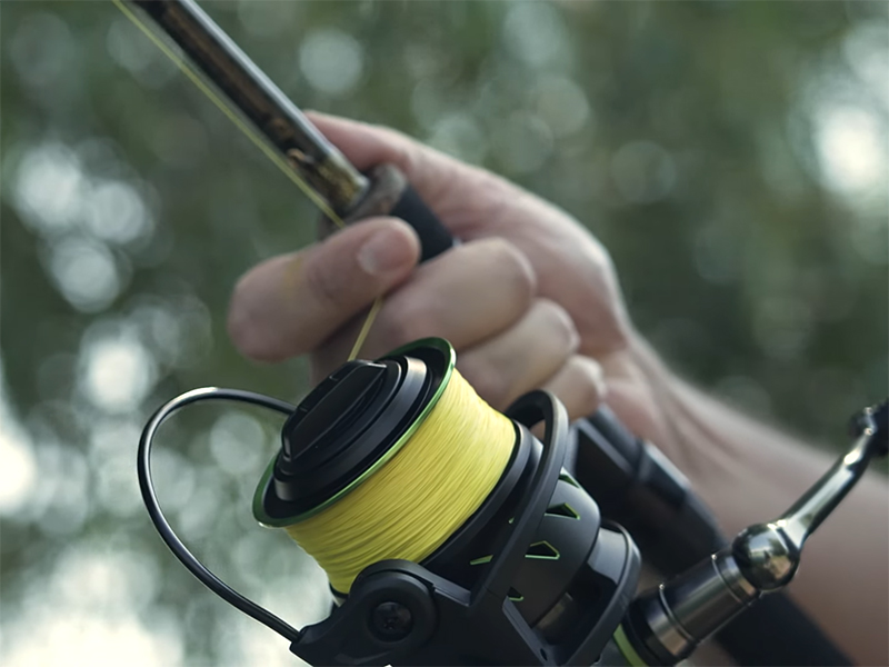 Delphin - WRINX 5T DP - Image 5