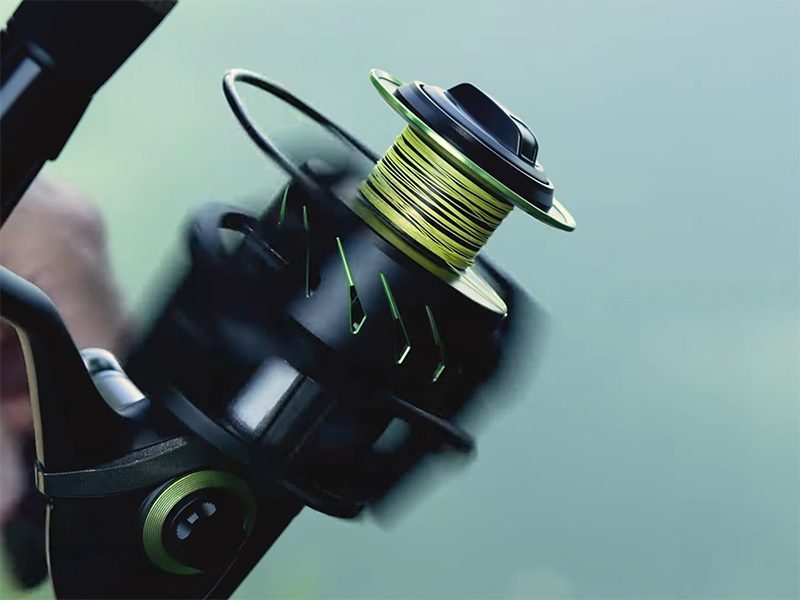 Delphin - WRINX 5T DP - Image 6