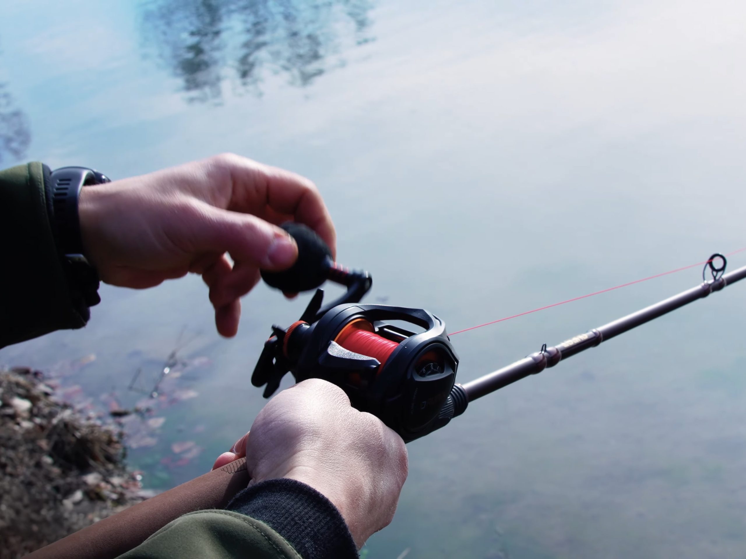 Delphin - RUNIX - Image 6