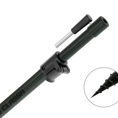 Delphin - Suport CLASSA