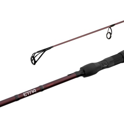 Delphin - ETNA LEGEND4RY