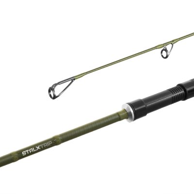 Delphin - STALX Trip