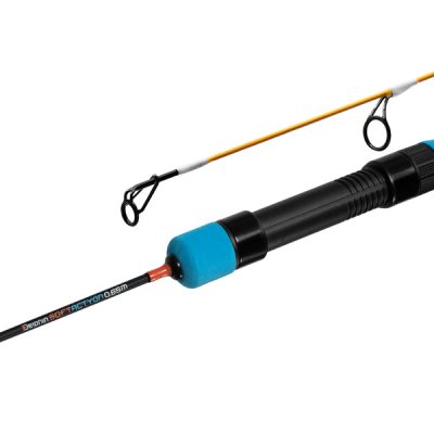 Delphin - SoftACTYON Ice