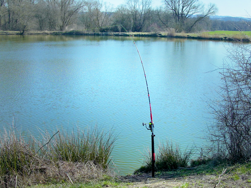 Delphin - ENERGY Harcsázó bottartó - Image 9