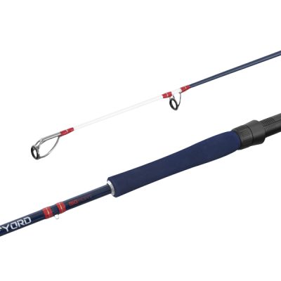 Delphin - FYORD BigBOAT