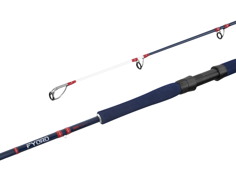 Delphin - FYORD BigBOAT