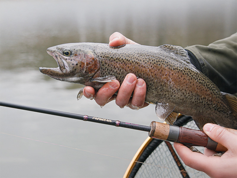 Delphin - TROUTERA SoftLURE - Image 8