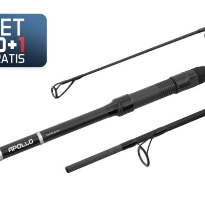 Delphin - 10+1 - APOLLO GenerationX