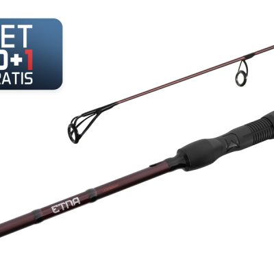 Delphin - 10+1 - ETNA LEGEND4RY