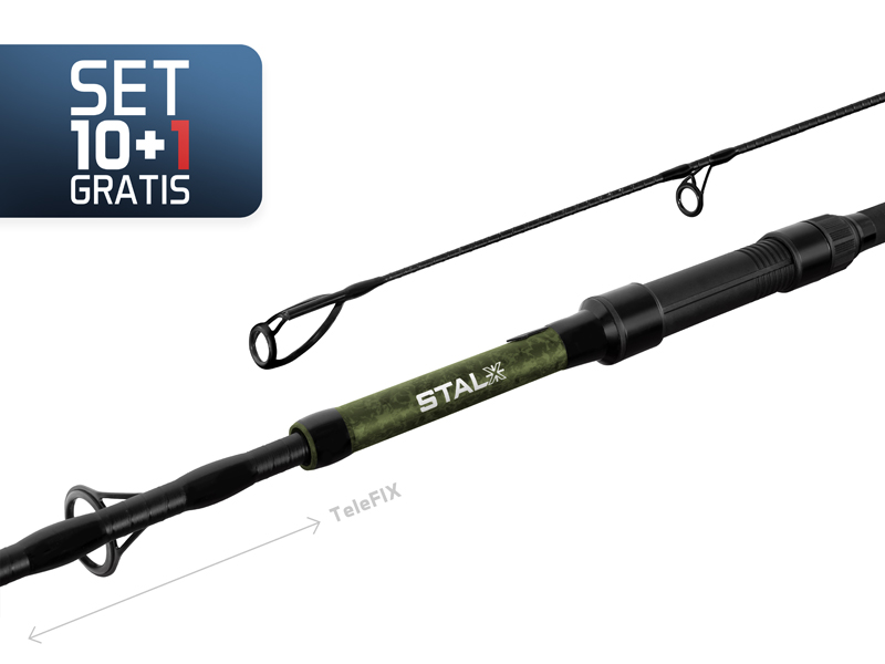 Delphin - 10+1 - STALX