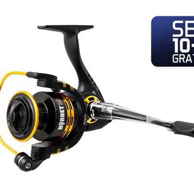 Delphin - 10+1 - HORNET 50 / 3+1