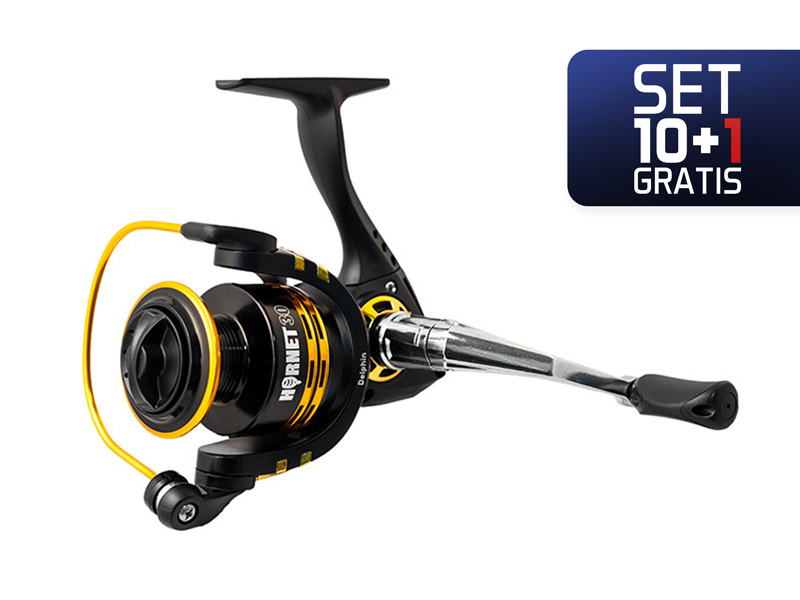 Delphin - 10+1 - HORNET 50 / 3+1