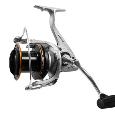 Delphin - Fém pótdob a Odysea