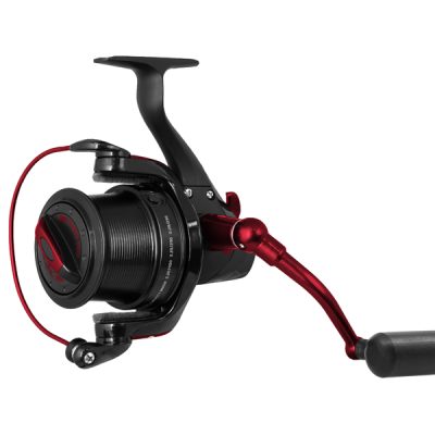 Delphin - RAYA 55 Y body