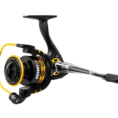 Delphin - HORNET 20 / 3+1