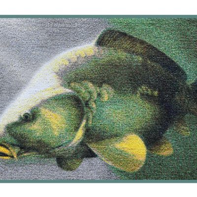 Delphin - Szőnyeg 3D ponty