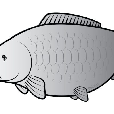 Delphin - Öntapadó ponty SILVER