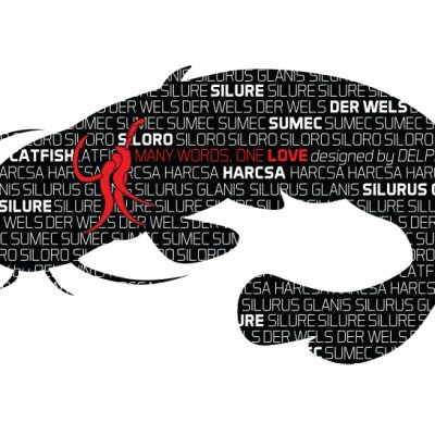 Delphin - Öntapadó HARCSA Words sorozat