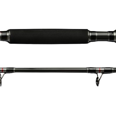 Whisper Catfish 325 200-400g